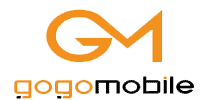 gmlogo